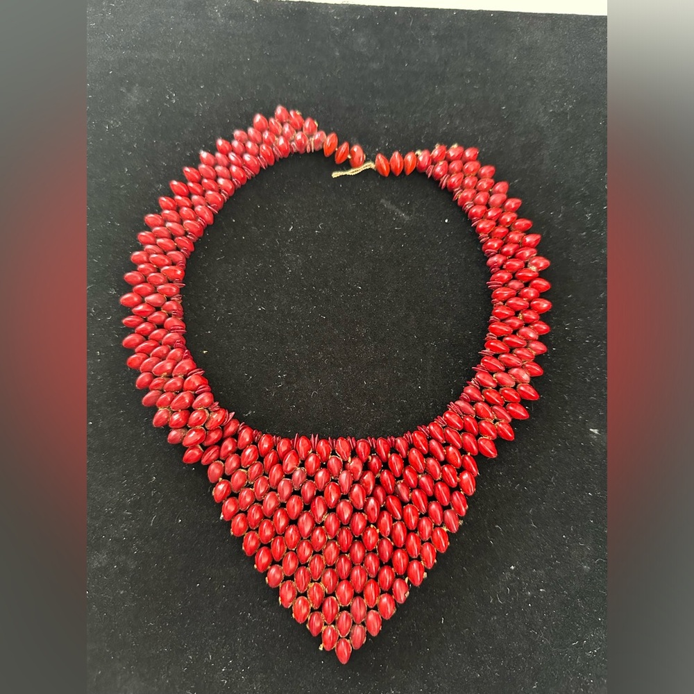 Necklace from Brazilian seeds